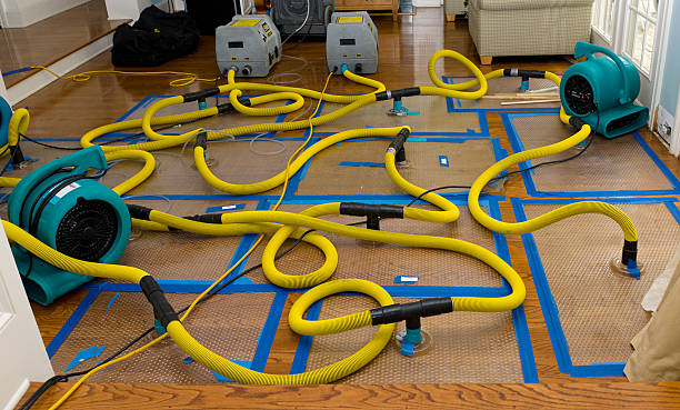 Professional Flood Damage Restoration technician working in Oakville, MO
